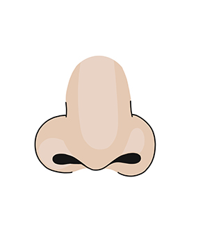 noisette-m illustration anagramme nez